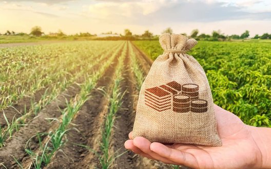 Фермери отримають на розвиток господарства безвідсотковий кредит до 1 мільйона: хто може подати заявку?