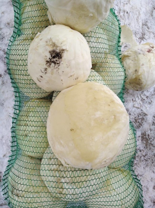 Минобороны отстояло в суде интересы компании-монополиста Військсервіс Волонтер: Она получила 1,2 млрд грн на поставку продуктов в армию и уже 100% господрядов 01