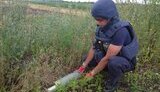 міни,розміновування