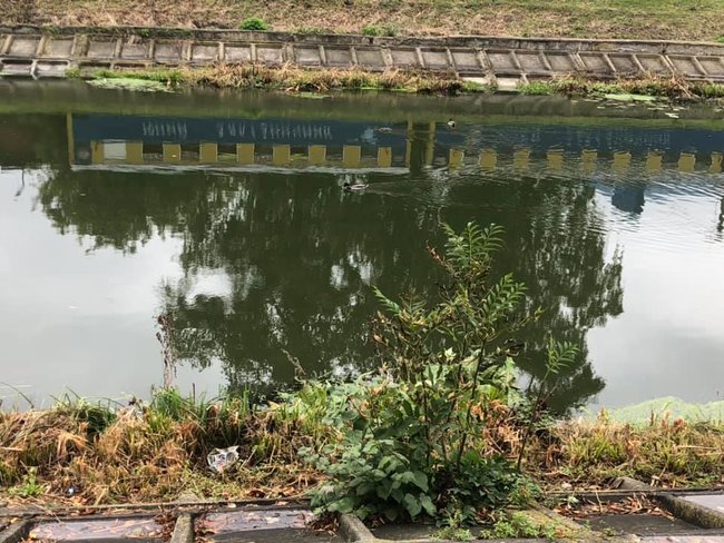 Президент не їде на пожежі в Луганську область, бо зайнятий виборами в Рівненській, - нардепка Голосу Бобровська 01