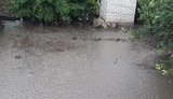 Негода в Одесі: літаки не змогли приземлитися в аеропорту, район Аркадія затопило. ВIДЕО