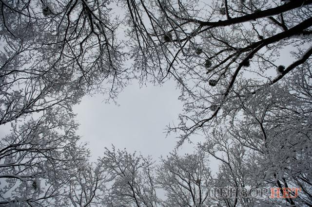 Цензор.НЕТ Изображение