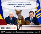 Главный свидетель