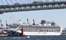 Two Ukrainians with coronavirus on board Diamond Princess in satisfactory condition - diplomat