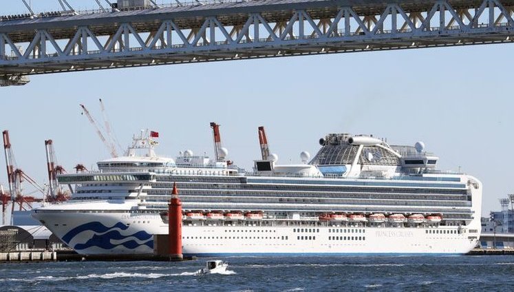 Two Ukrainians with coronavirus on board Diamond Princess in satisfactory condition - diplomat