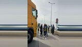 Группа активистов на границе Польши заблокировала проезд грузовиков с российскими и белорусскими номерами в Беларусь и Россию. ВИДЕО