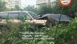 дтп судья коцюрба