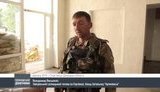 веселкин