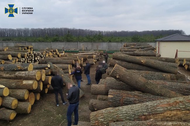 На Кіровоградщині блоковано багатомільйонну схему контрабанди деревини, організовану чиновниками Держлісагентства, - СБУ 04