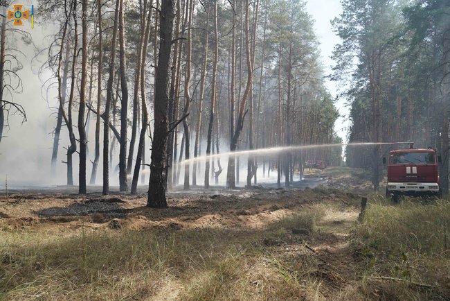 Лісову пожежу ліквідують на Луганщині, - ДСНС 04