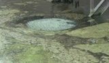 Дома одесситов затопило фекалиями: "Нечистоты всплывают прямо во дворах". ФОТОрепортаж