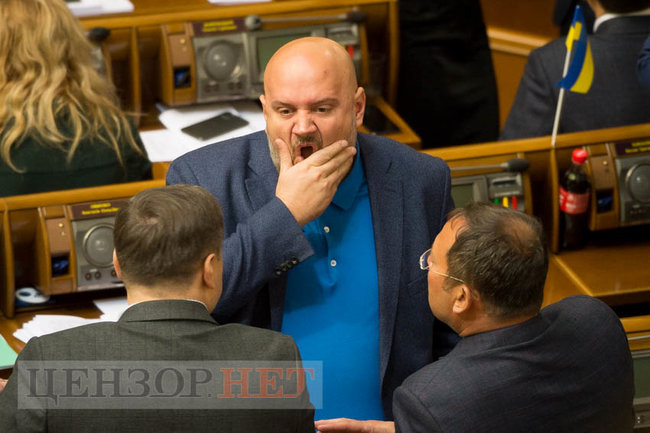 Депутати 14 січня ухвалили заяву щодо авіакатастрофи в Ірані, проголосували низку законів і припинили повноваження Венедіктової, - день роботи ВР 18