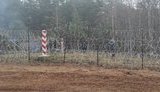 Мигранты забросали камнями польских полицейских на границе с Беларусью. ФОТО