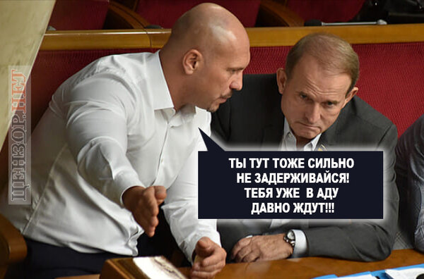 Не трогайте Шария – это на Новый год. Фотожаберы о ликвидации Кивы 01