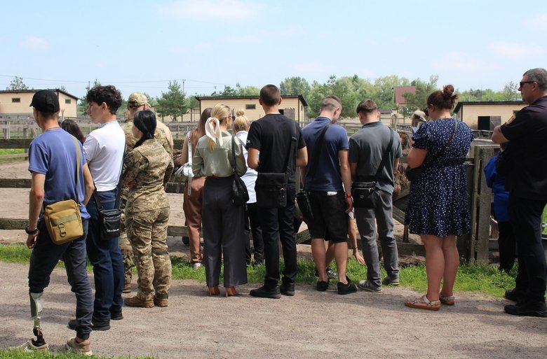 страуси