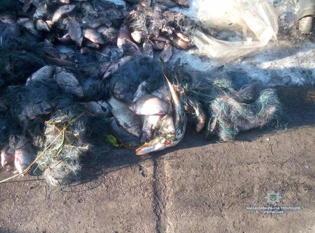 Экс-начальника районной рыбинспекции задержали за браконьерство на Киевщине, - Нацполиция 02 Экс-начальника районной рыбинспекции задержали за браконьерство на Киевщине, - Нацполиция 02
