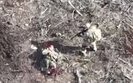Russian finishes off his wounded accomplice on battlefield