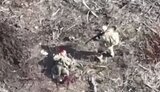 Russian finishes off his wounded accomplice on battlefield
