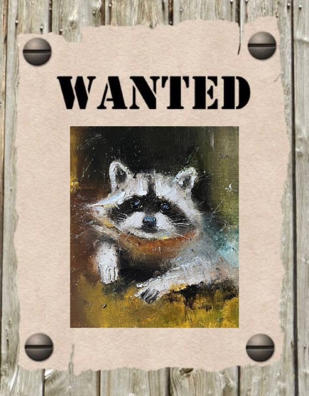 Убегая из Херсона оккупанты украли енота. Сеть взорвалась мемами 02