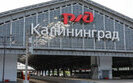 калінінград