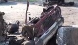 новоалексеевка