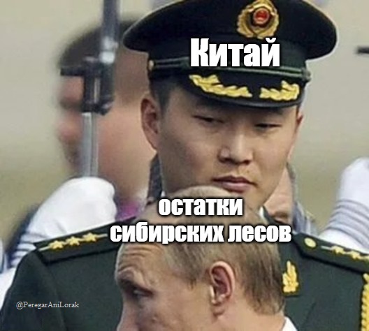 Дружній погляд