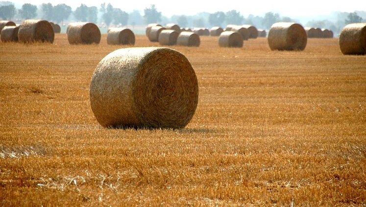 Крупнейшие аграрные кооперативы мира