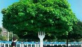 Рекламный креатив: 33 самые крутые внешние рекламы. ФОТОрепортаж.