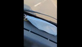 Російські окупанти розстрілюють цивільне авто. ВIДЕО