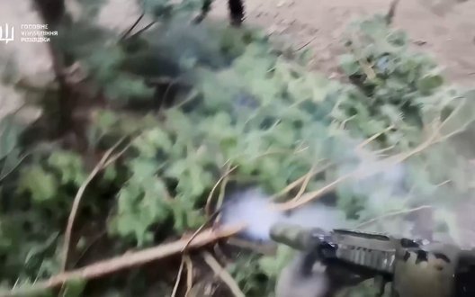 Українські розвідники заскочили зненацька сплячого на позиції окупанта та ліквідували його. ВIДЕО