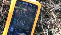 Аграрії вирощували зерно на радіоактивній землі на Житомирщині