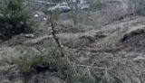 Оккупанты на Сумщине бросили свою технику, убегая от ВСУ. ВИДЕО (исправлено)