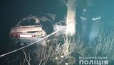 Пьяное ДТП на Одесчине: водитель "ВАЗа" влетел в дерево, погиб пассажир-иностранец, - полиция. ФОТО