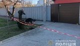 запорожье,граната