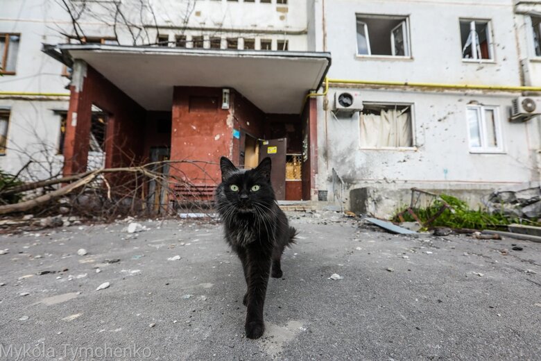 Bombed district: in what Russians have turned Northern Saltivka in Kharkiv 07
