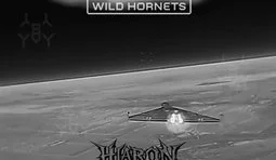 Бійці Сил оборони збили 7 російських шахедів перехоплювачами STING