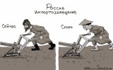 Импортозамещение