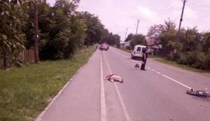 П'яний депутат Сокальської міськради Петрушка збив на смерть велосипедистку на Львівщині