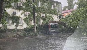 Электроснабжение в Донецкой области полностью восстановлено, - 