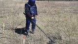 Піротехніки ДСНС упродовж тижня знешкодили 268 снарядів на Донбасі, було обстежено 147 га території. ФОТОрепортаж