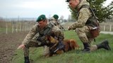 Україна в чотирьох областях посилить охорону кордону з ЄС 300 військовослужбовцями, - Держприкордонслужба