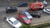 В Киеве пожарные разгромили пять автомобилей на стоянке. ФОТОрепортаж