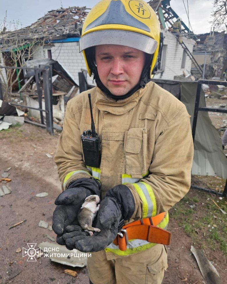 Обстріли Житомирщини