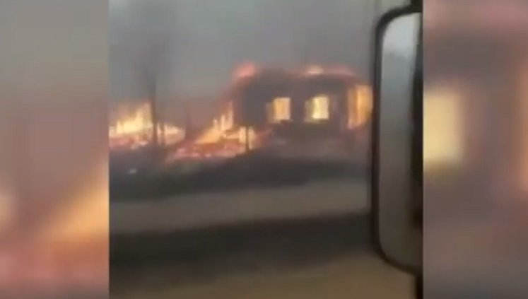 В Житомирской области лесные пожары перекинулись на села. ЖУТКОЕ ВИДЕО