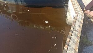 олія
