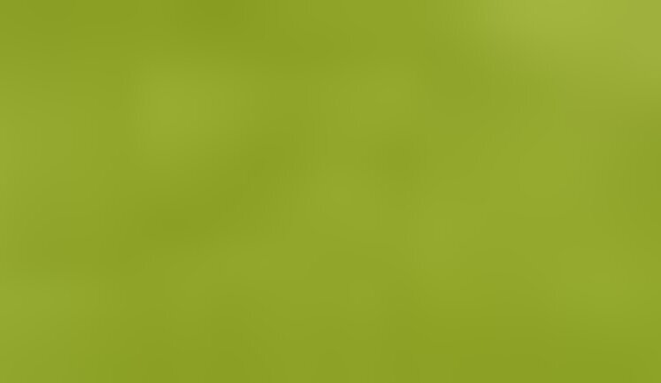 Турецька Onur за 185 мільйонів відремонтує частину мосту через протоку Десенка в Києві. Його не ремонтували 50 років