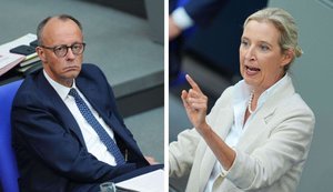 Фридрих Мерц и Алиса Вайдель