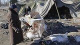 террористы дебальцево