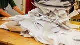 Голоси на виборах перерахувати неможливо, - опозиція Білорусі