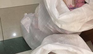SBU raids Odesa-based developer involved in funding Donbas terrorists. PHOTOS
